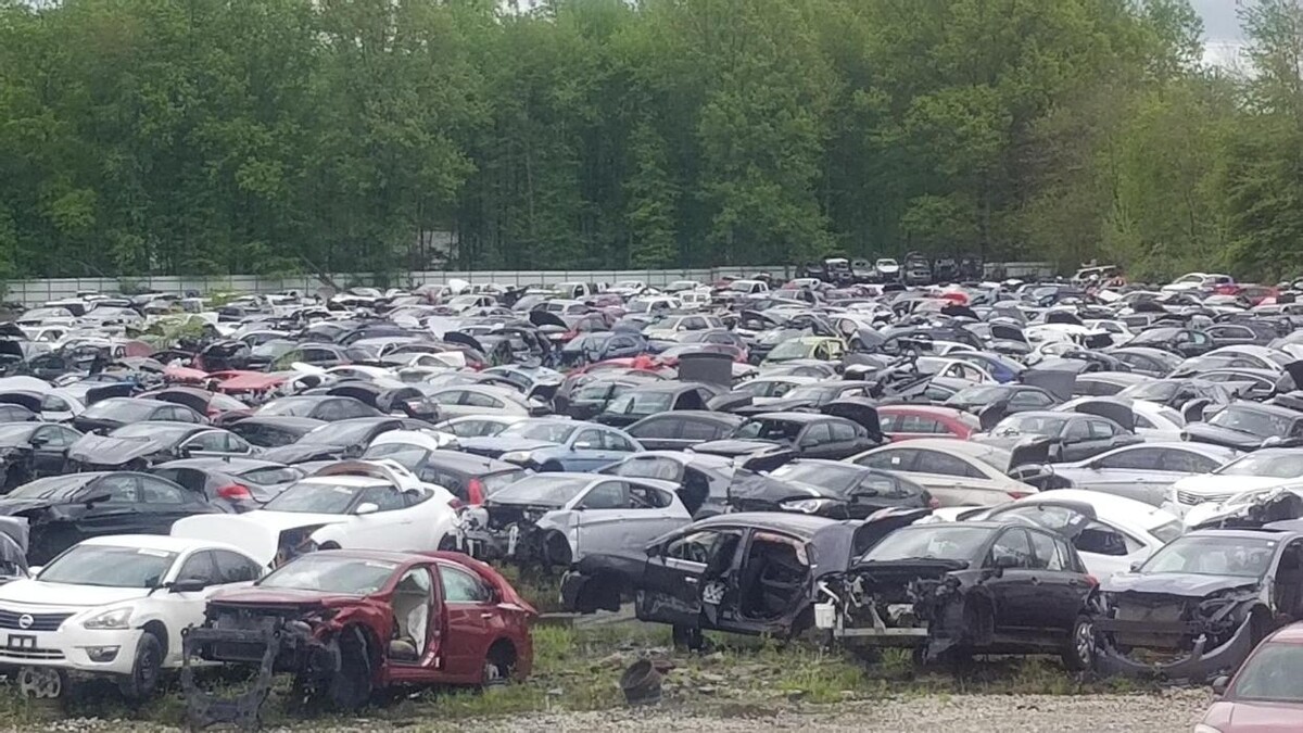 Images Lindale Auto Parts