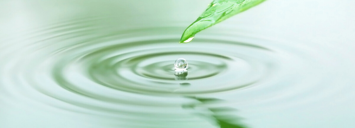 Images MIYU Beauty & Wellbeing - Falls Church