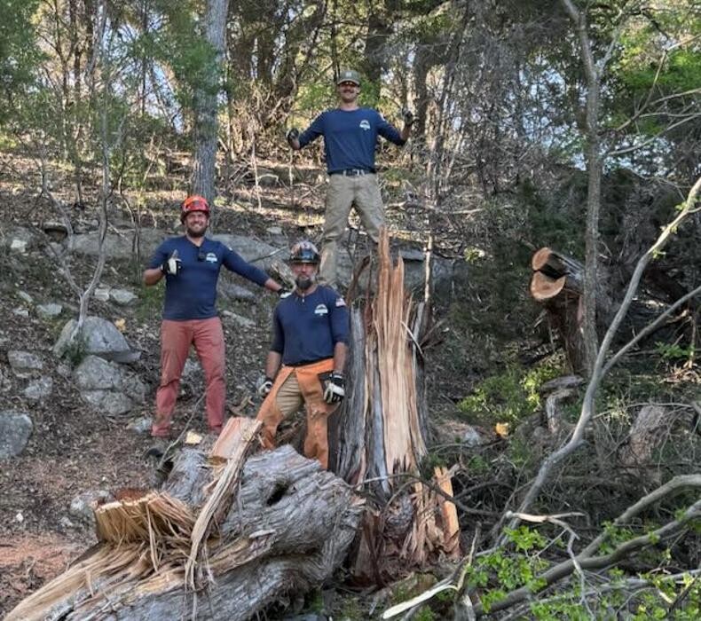 Images Dynamo Dusty's Tree Service