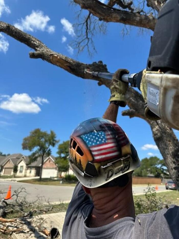 Images Dynamo Dusty's Tree Service