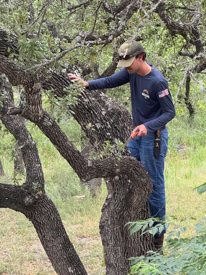 Images Dynamo Dusty's Tree Service