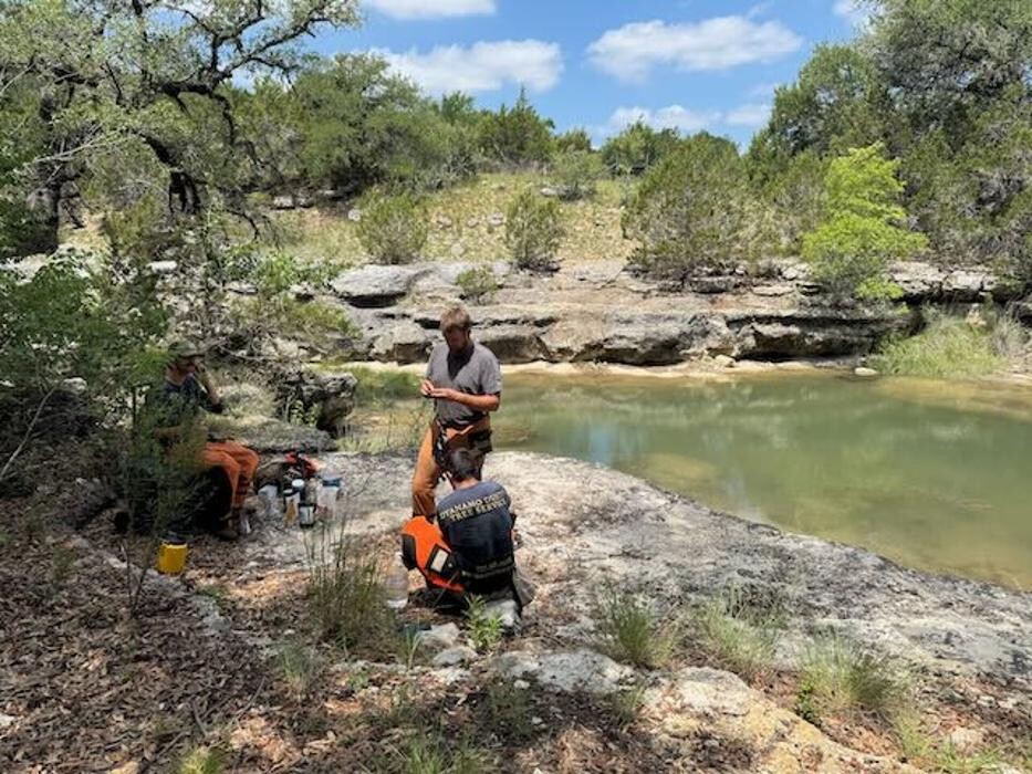 Images Dynamo Dusty's Tree Service