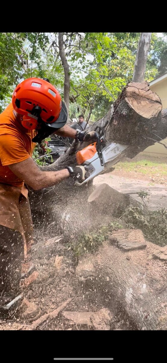 Images Dynamo Dusty's Tree Service