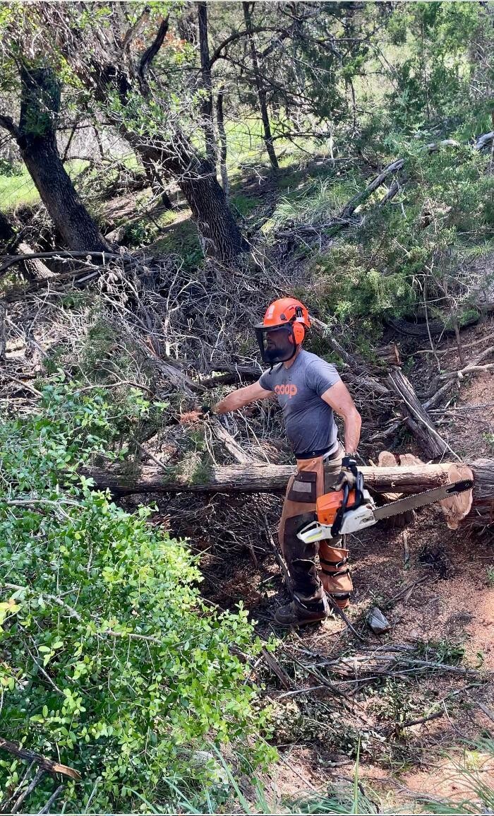 Images Dynamo Dusty's Tree Service