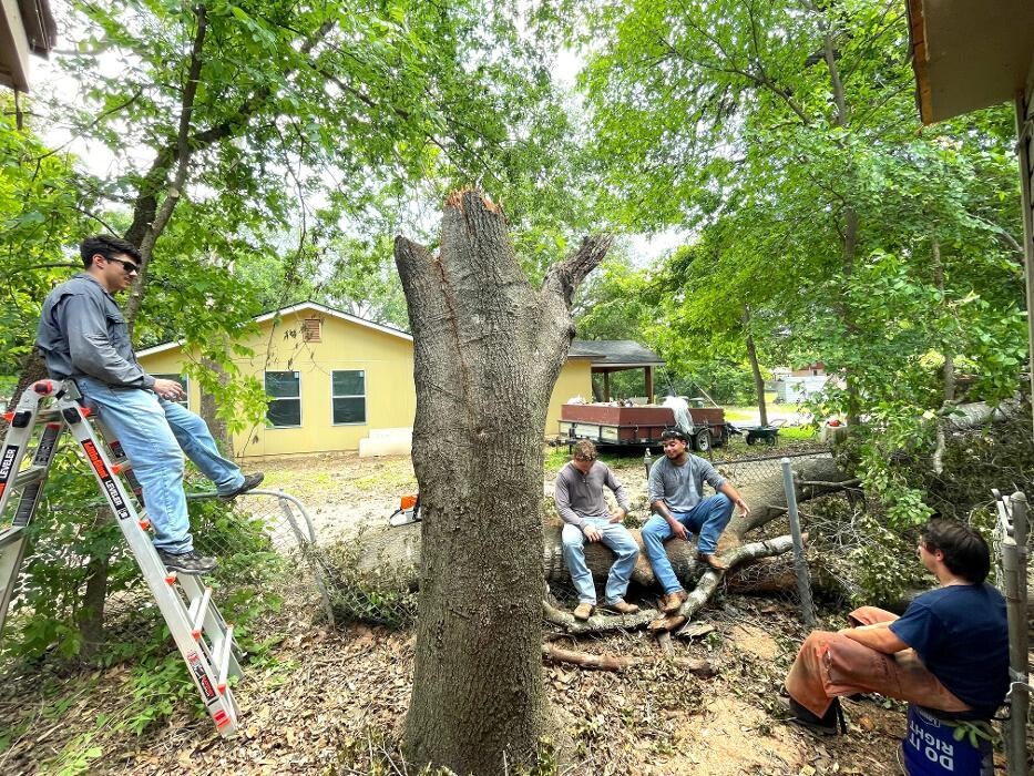 Images Dynamo Dusty's Tree Service