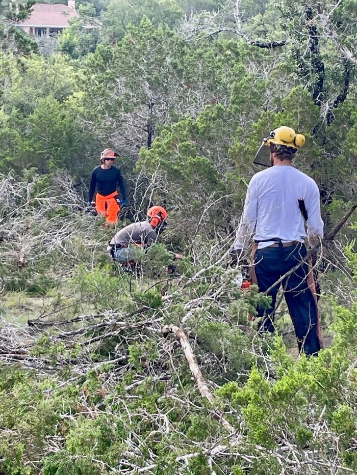 Images Dynamo Dusty's Tree Service