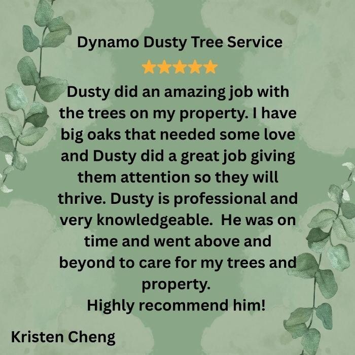 Images Dynamo Dusty's Tree Service