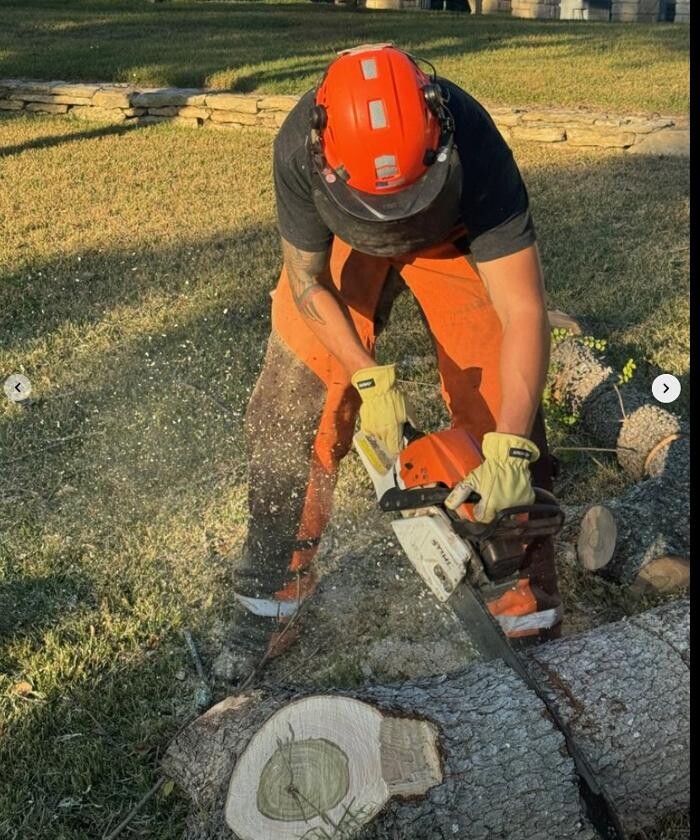 Images Dynamo Dusty's Tree Service