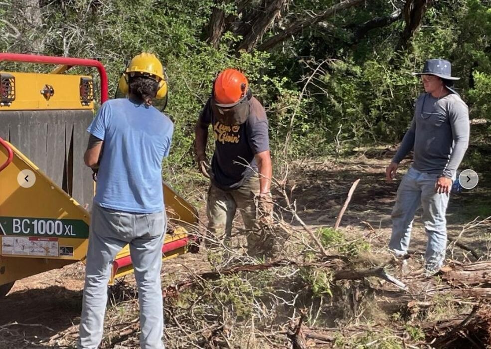 Images Dynamo Dusty's Tree Service