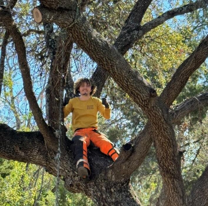 Images Dynamo Dusty's Tree Service