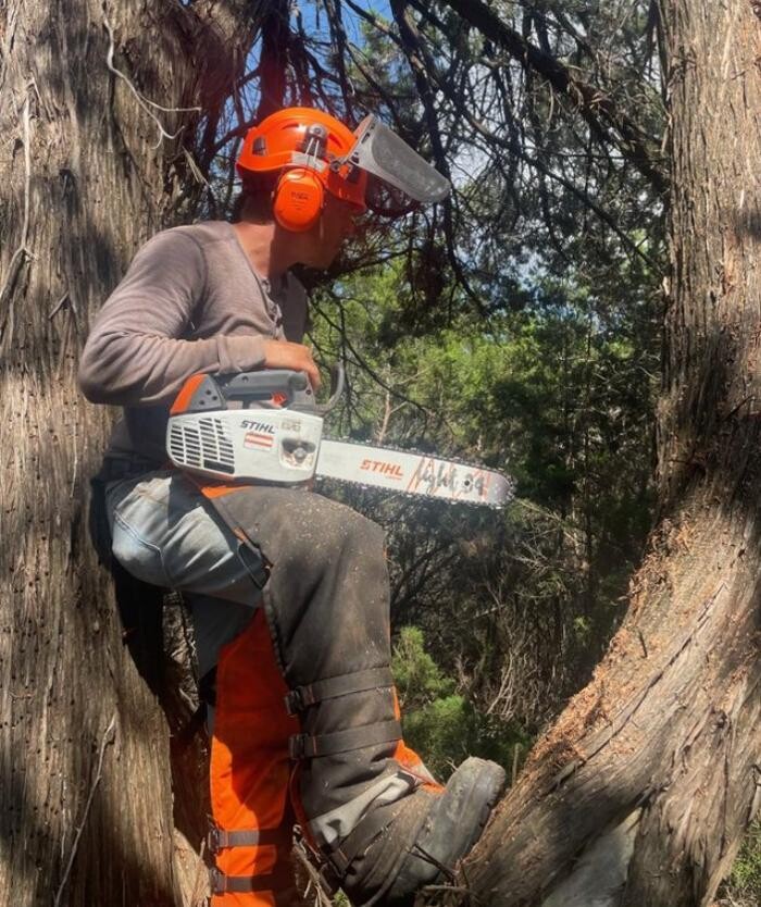 Images Dynamo Dusty's Tree Service