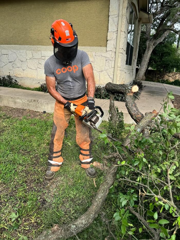 Images Dynamo Dusty's Tree Service