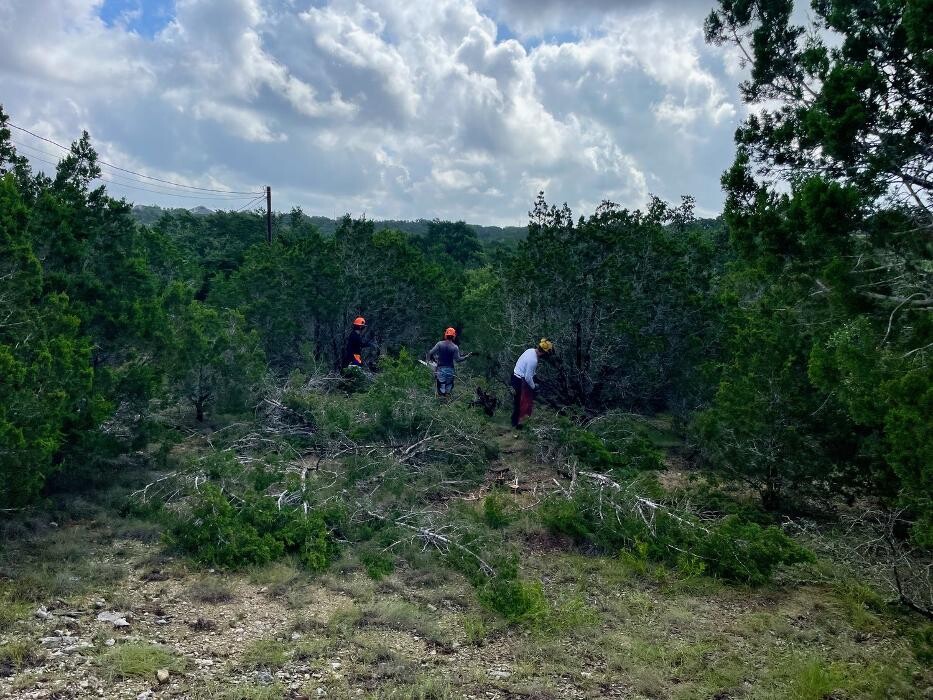 Images Dynamo Dusty's Tree Service