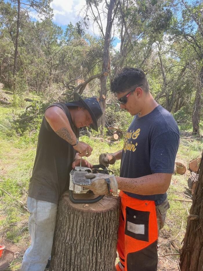 Images Dynamo Dusty's Tree Service
