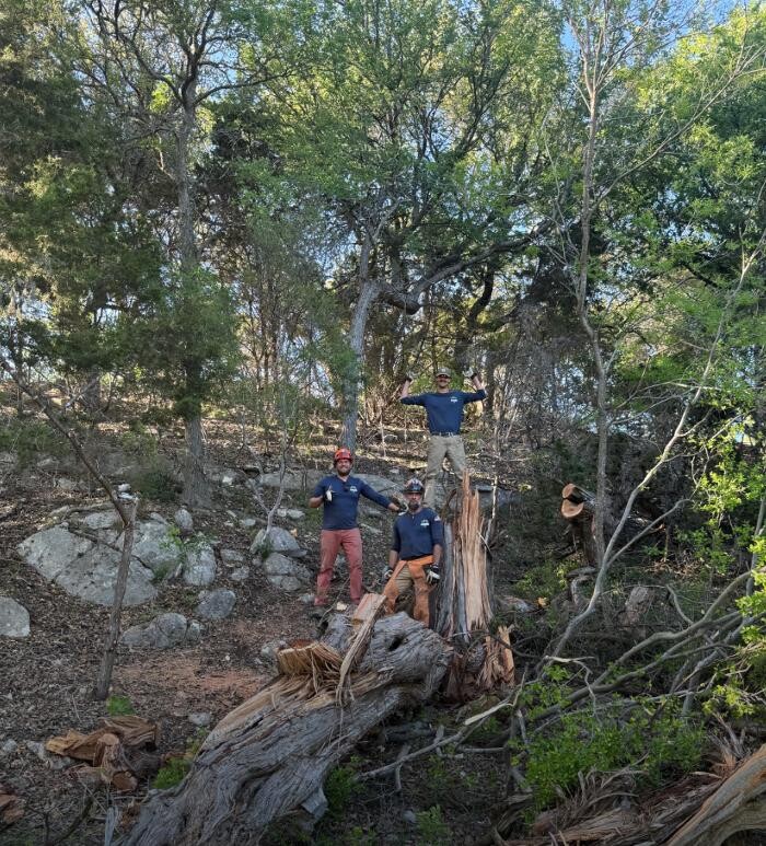 Images Dynamo Dusty's Tree Service