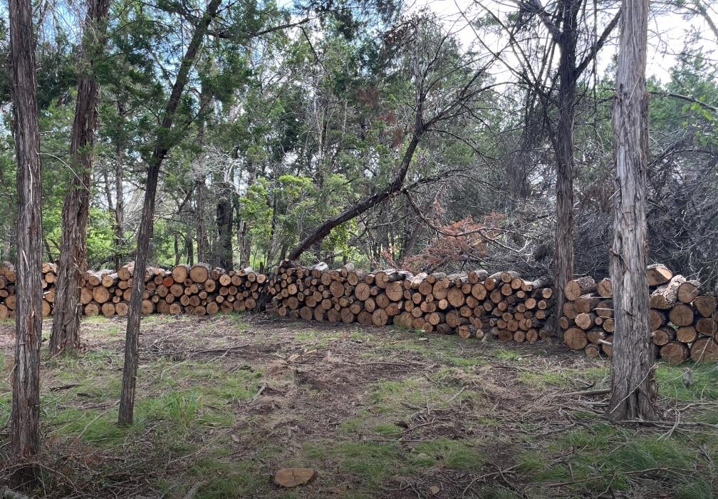 Images Dynamo Dusty's Tree Service