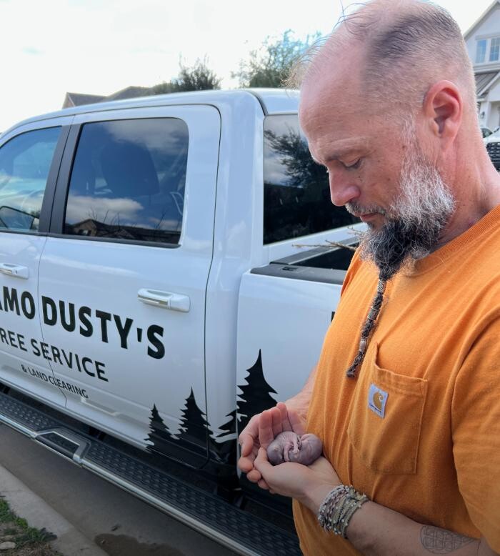 Images Dynamo Dusty's Tree Service