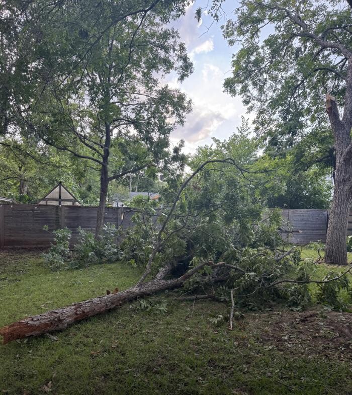 Images Dynamo Dusty's Tree Service