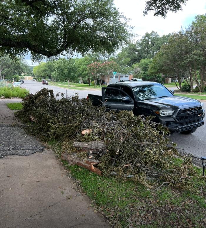 Images Dynamo Dusty's Tree Service
