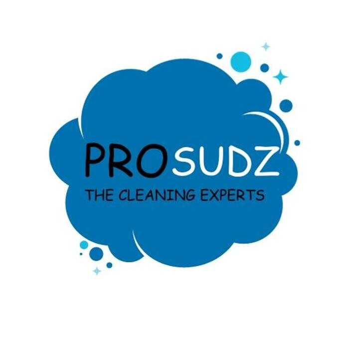 Prosudz, LLC The Cleaning Experts Logo