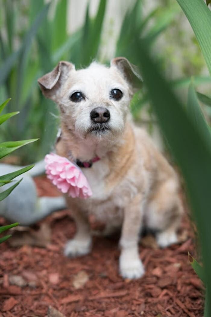 Images Montville Counseling Center