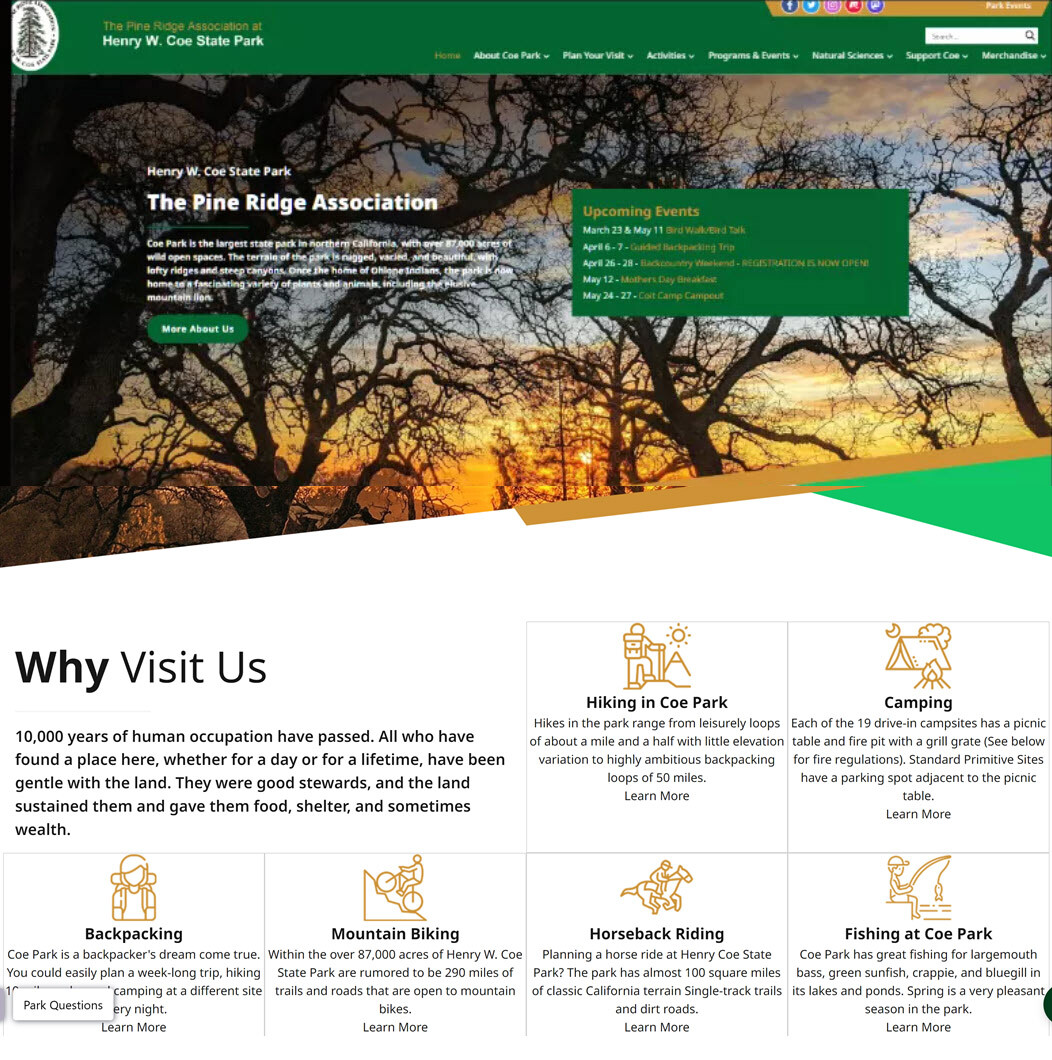 Images Websavvy Consulting