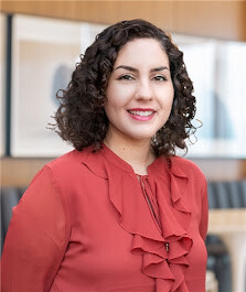 Images Dr. Shadi Lavasani