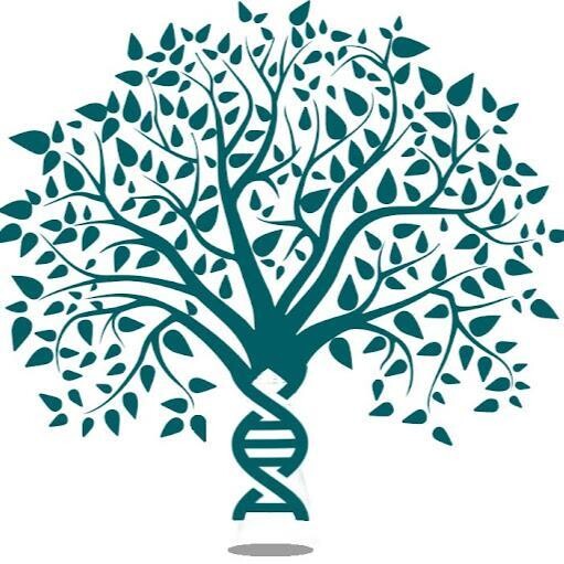 DNA Vaping Lounge Sarasota Logo