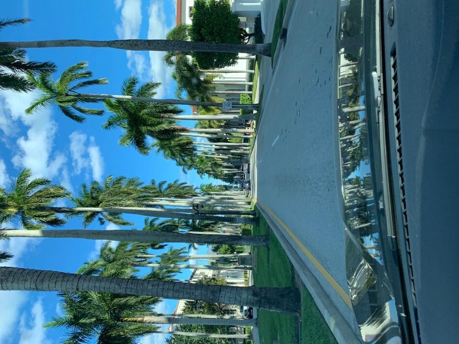 Images Premier Taxi & Limo Service
