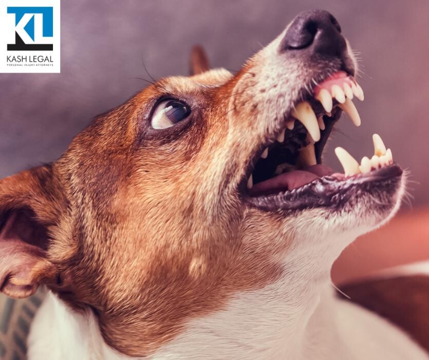 Images Kash Legal Group - Bakersfield Personal Injury and Accident Lawyers