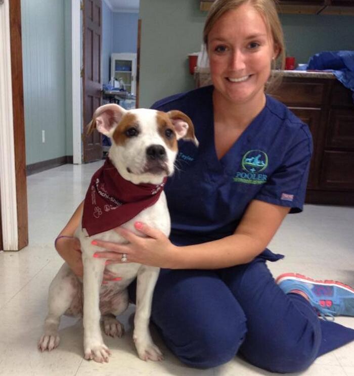 Images Pooler Veterinary Hospital