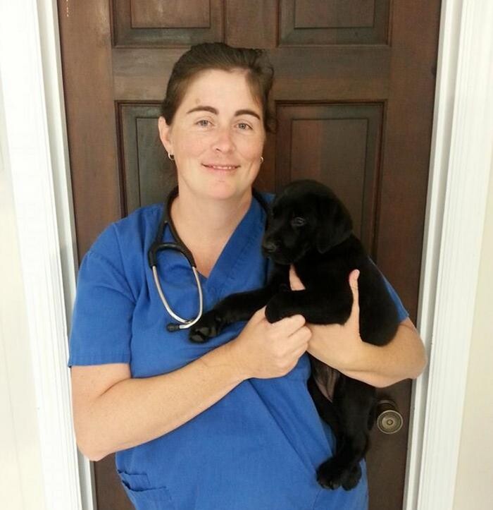 Images Pooler Veterinary Hospital