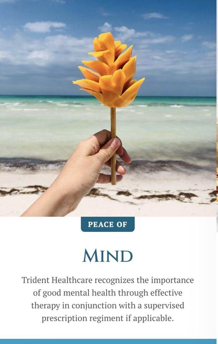 Images Trident Healthcare