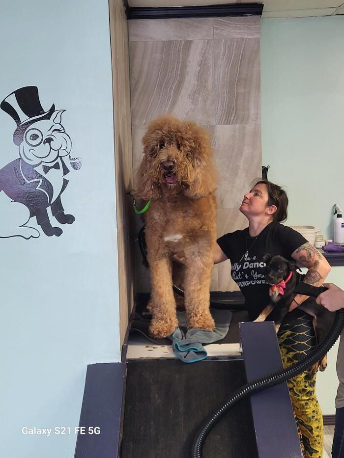 Images Le Filthy Pooche