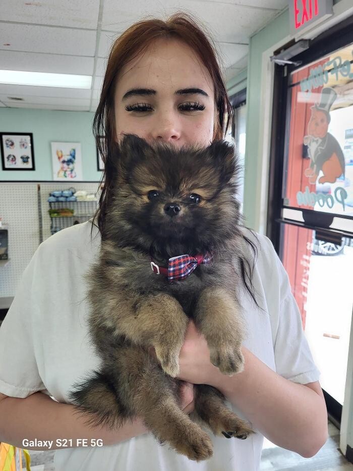 Images Le Filthy Pooche