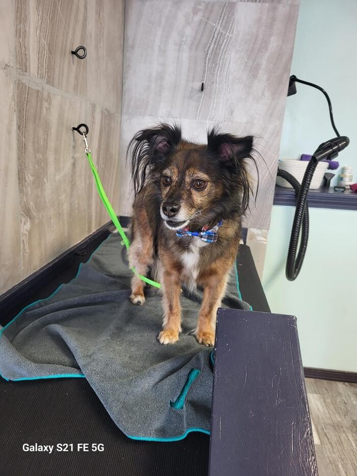 Images Le Filthy Pooche