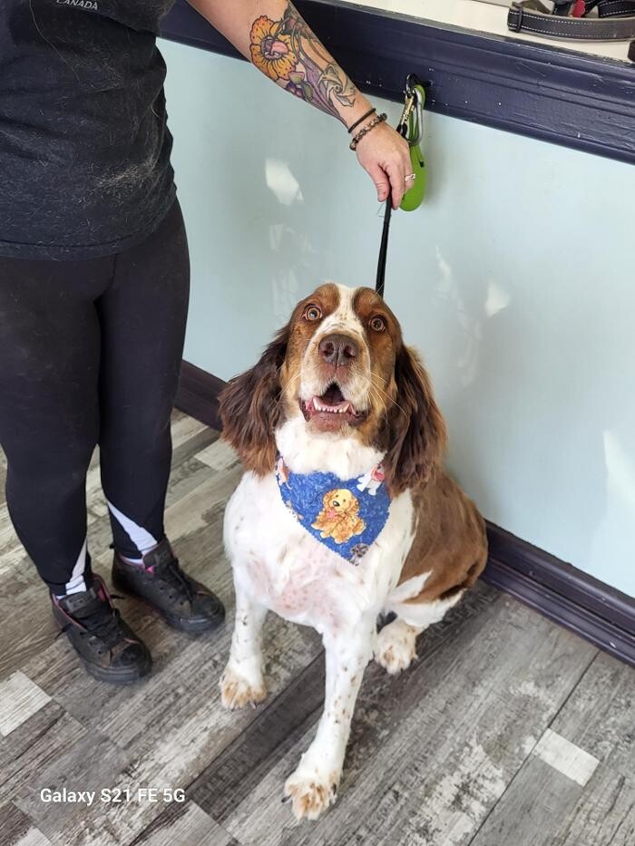 Images Le Filthy Pooche