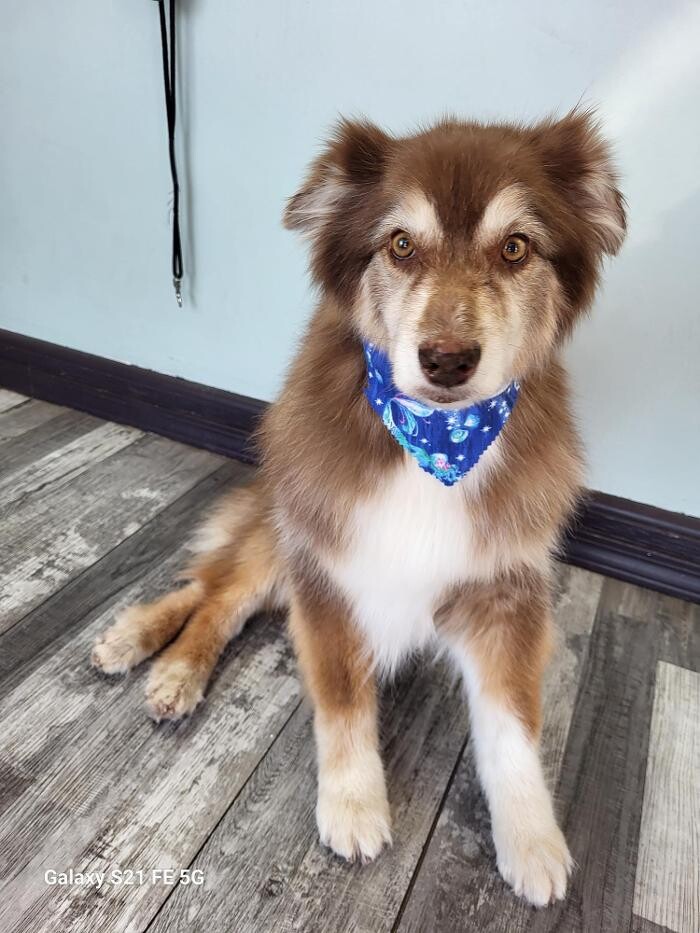 Images Le Filthy Pooche