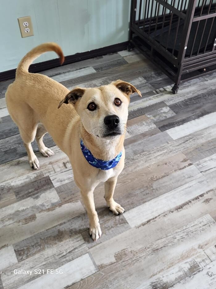 Images Le Filthy Pooche