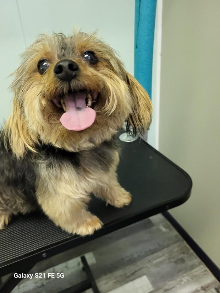 Images Le Filthy Pooche