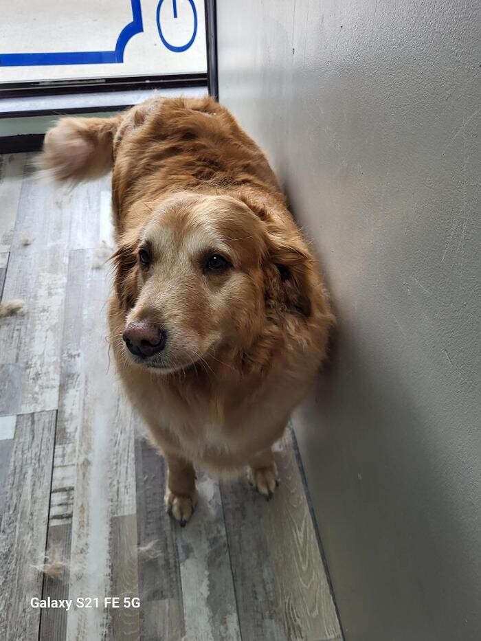 Images Le Filthy Pooche