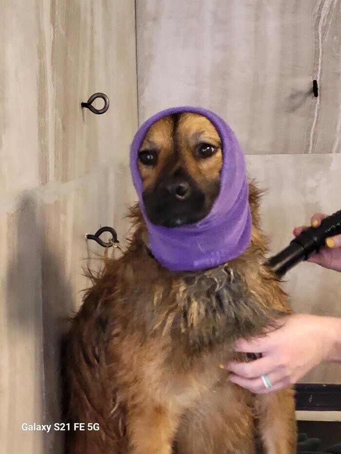 Images Le Filthy Pooche