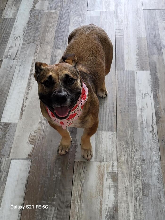 Images Le Filthy Pooche