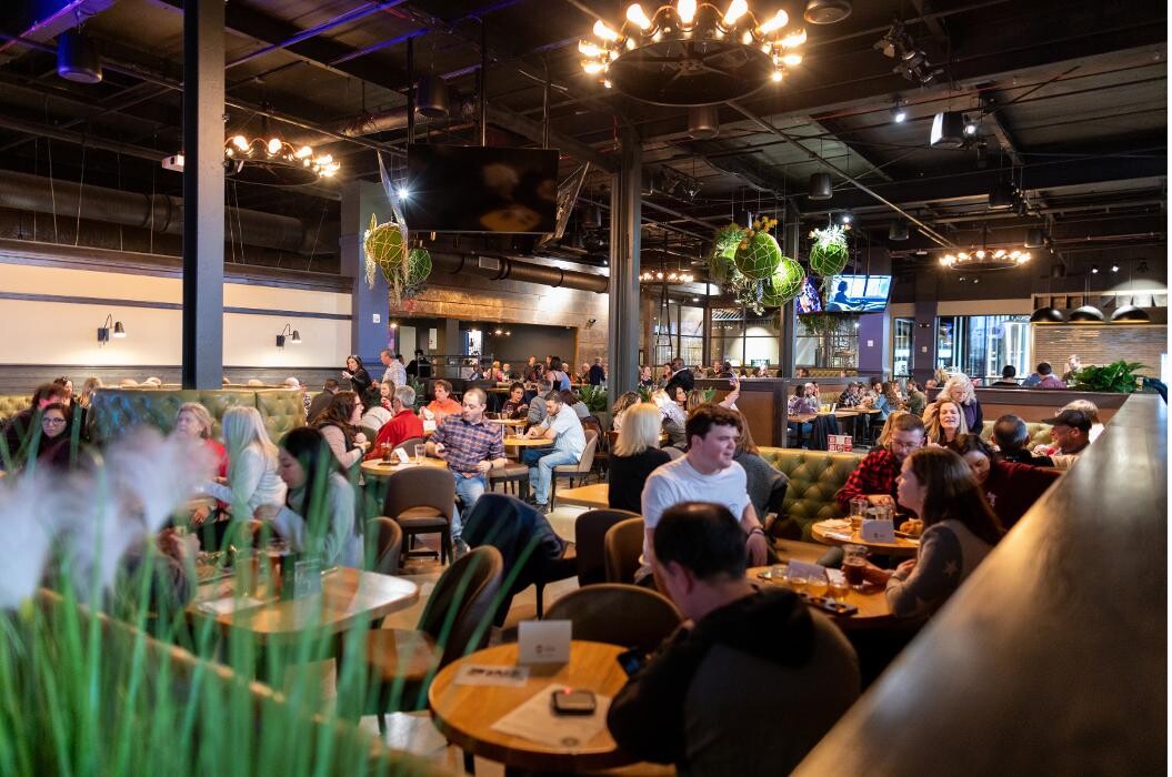 Images Elicit Brewing Co - Fairfield