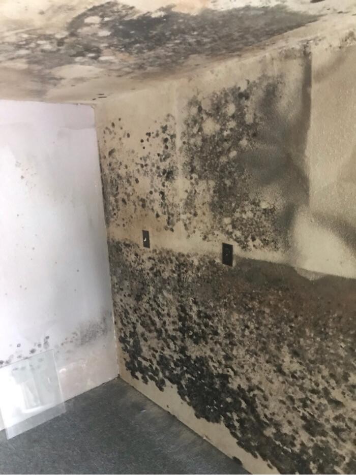 Images Disaster Response