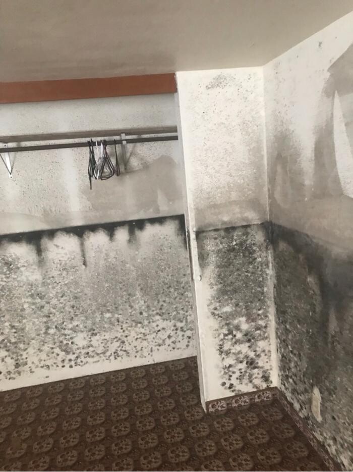 Images Disaster Response