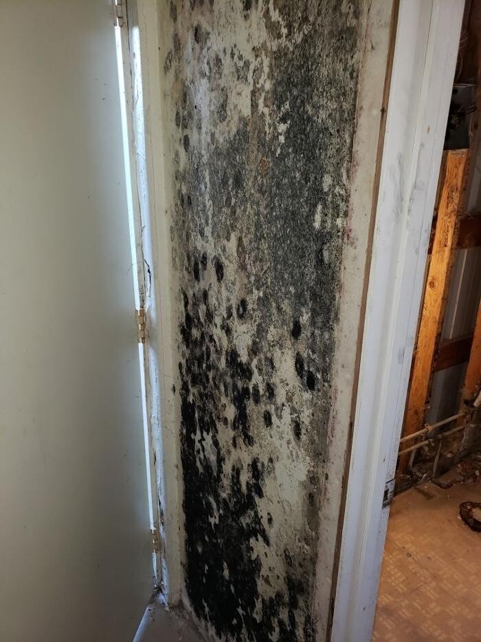 Images Disaster Response