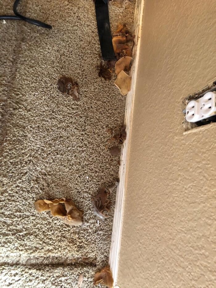 Images Disaster Response