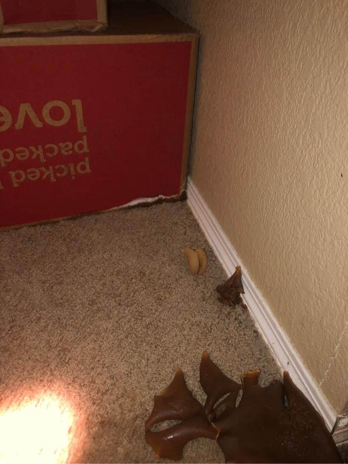 Images Disaster Response