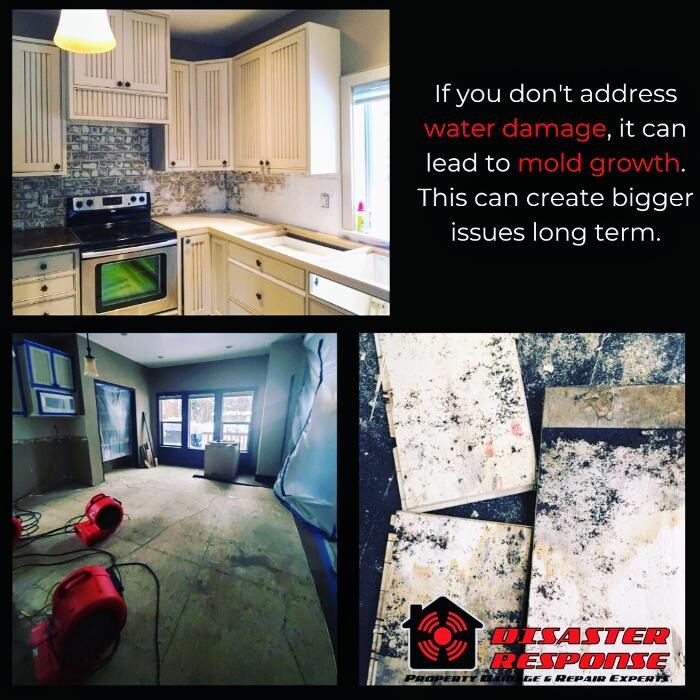 Images Disaster Response